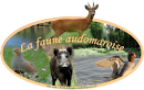 Logo La Faune Audomaroise